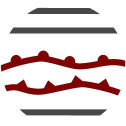 Davai logo